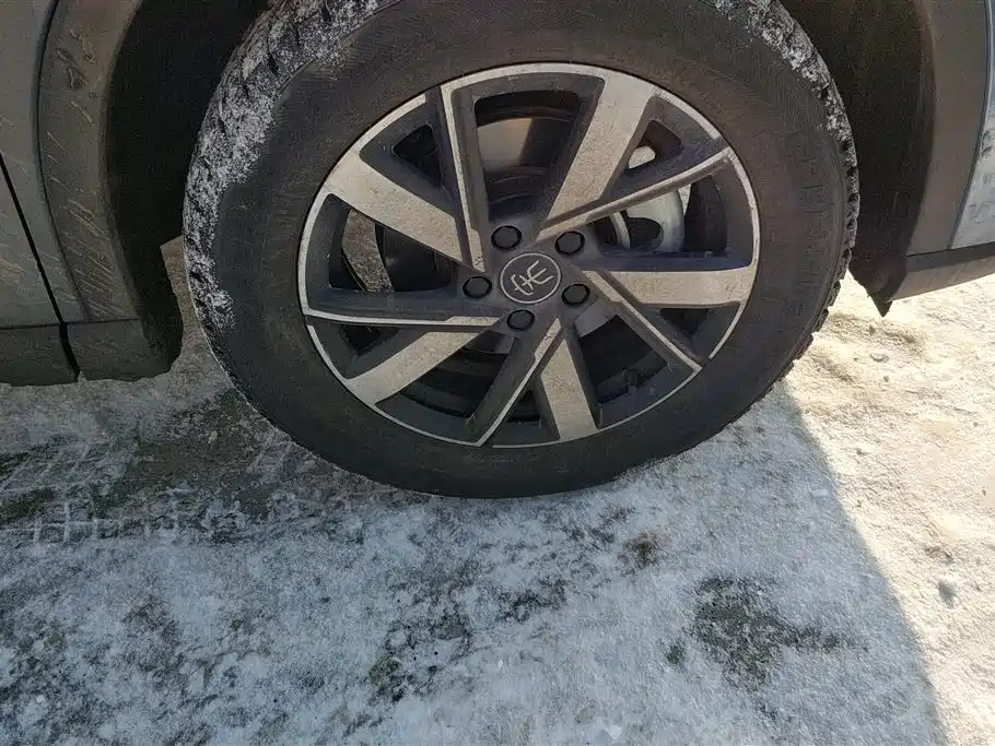 BYD SONGJIANG NEW ENERGY