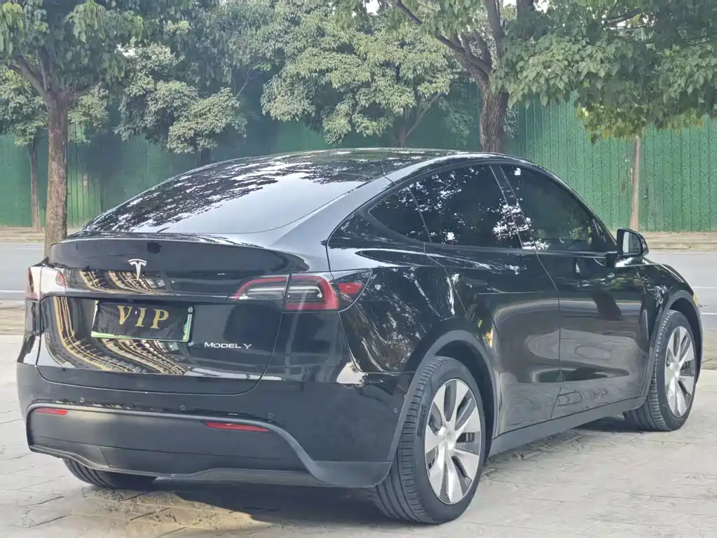 Tesla Model Y — миниатюра 9