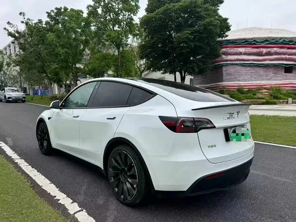 Tesla Model Y — миниатюра 7