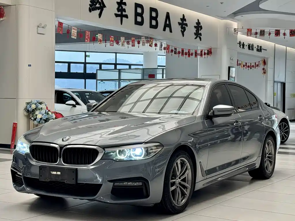BMW 5 Series (Import) 2019