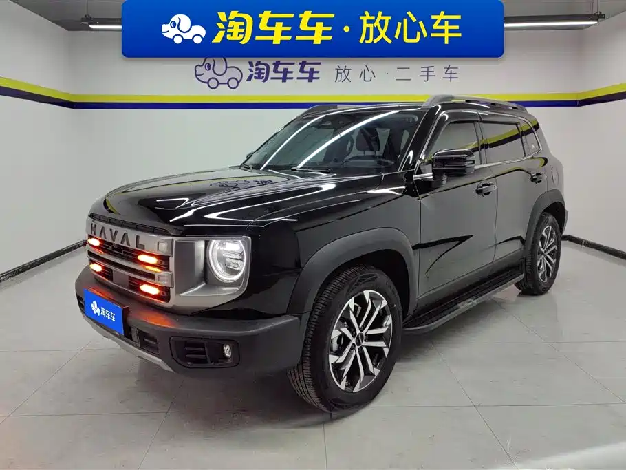 HAVAL BIG DOG