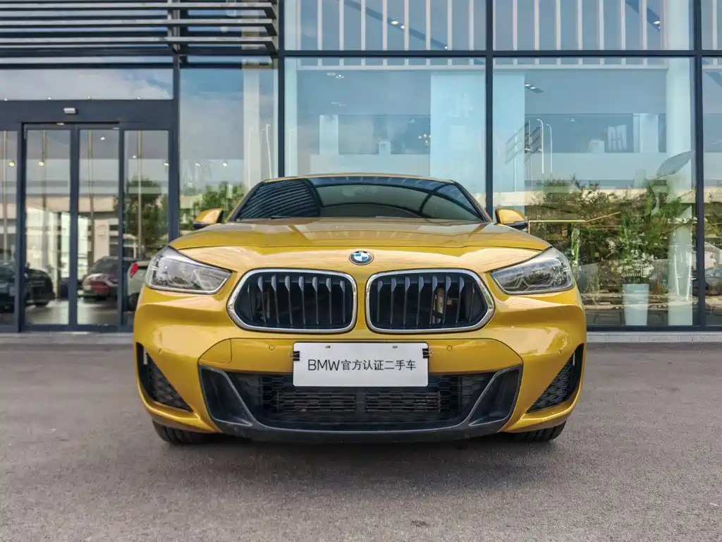 BMW X2 2021 sDrive25i Lead M Sport