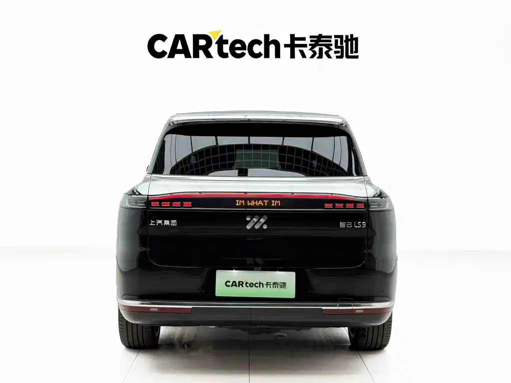 IM IM LS9 — миниатюра 28