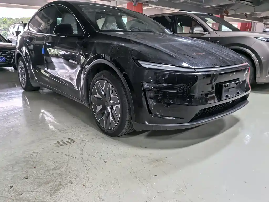 Tesla Model Y L — миниатюра 2