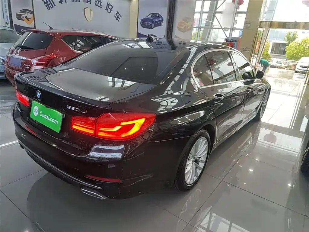 BMW 5 Series 5 2019 530Li Premium Luxury