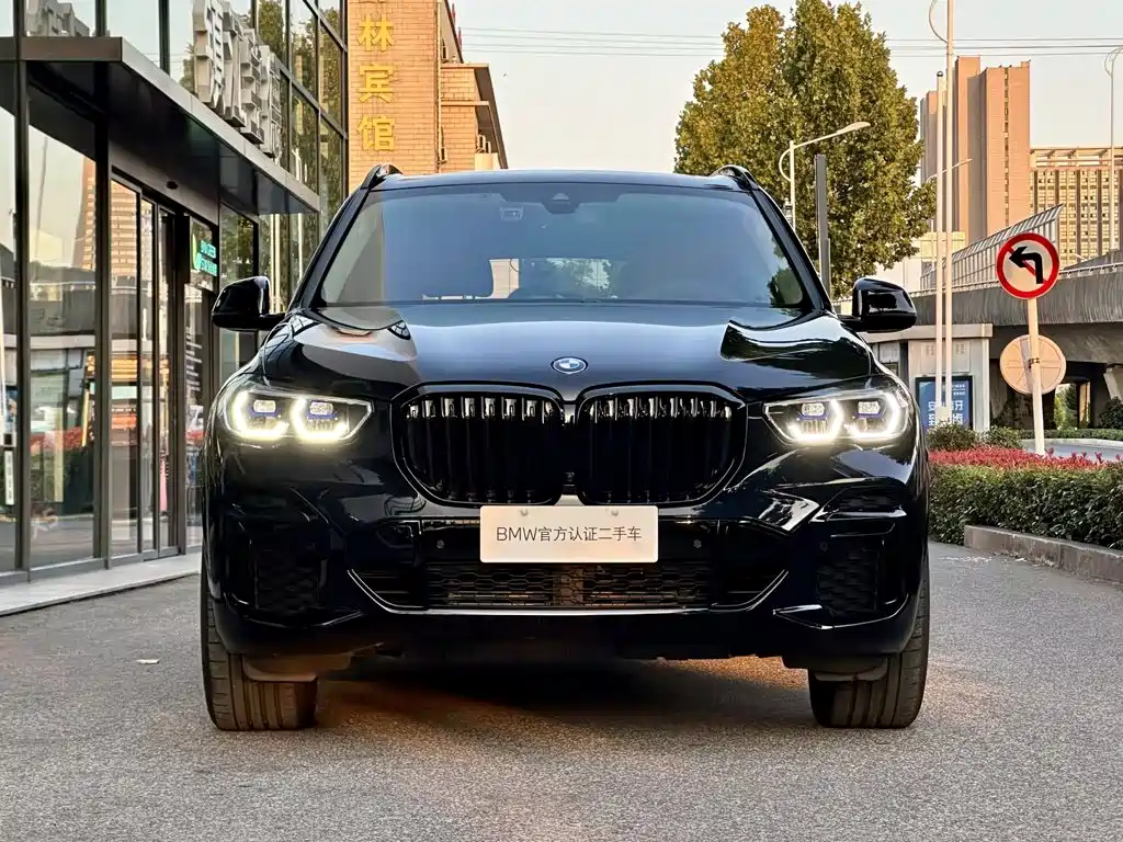 BMW X5 — миниатюра 2