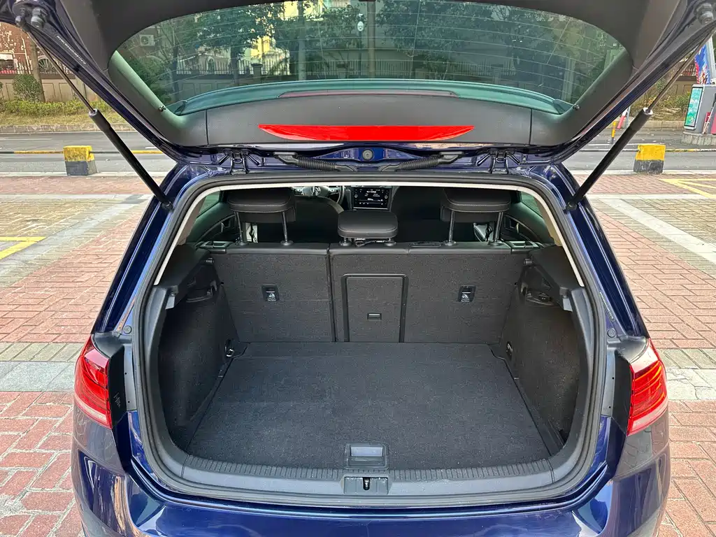 VOLKSWAGEN GOLF NEW ENERGY