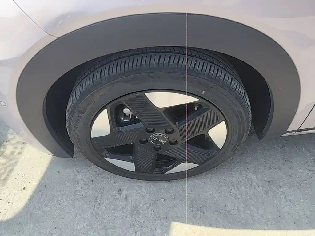 BYD Dolphin — миниатюра 25