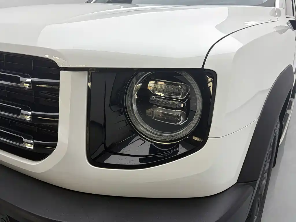 Haval Big Dog — миниатюра 10