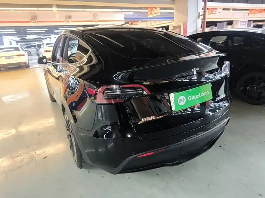 Tesla Model Y — миниатюра 5