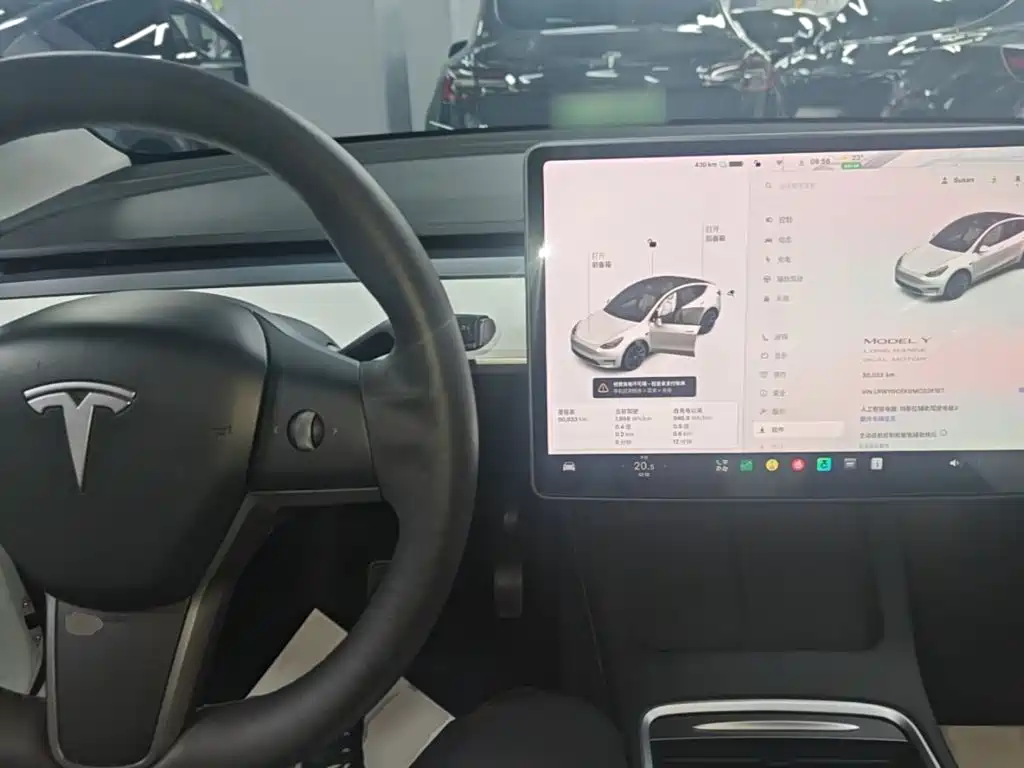 Tesla Model Y — миниатюра 10