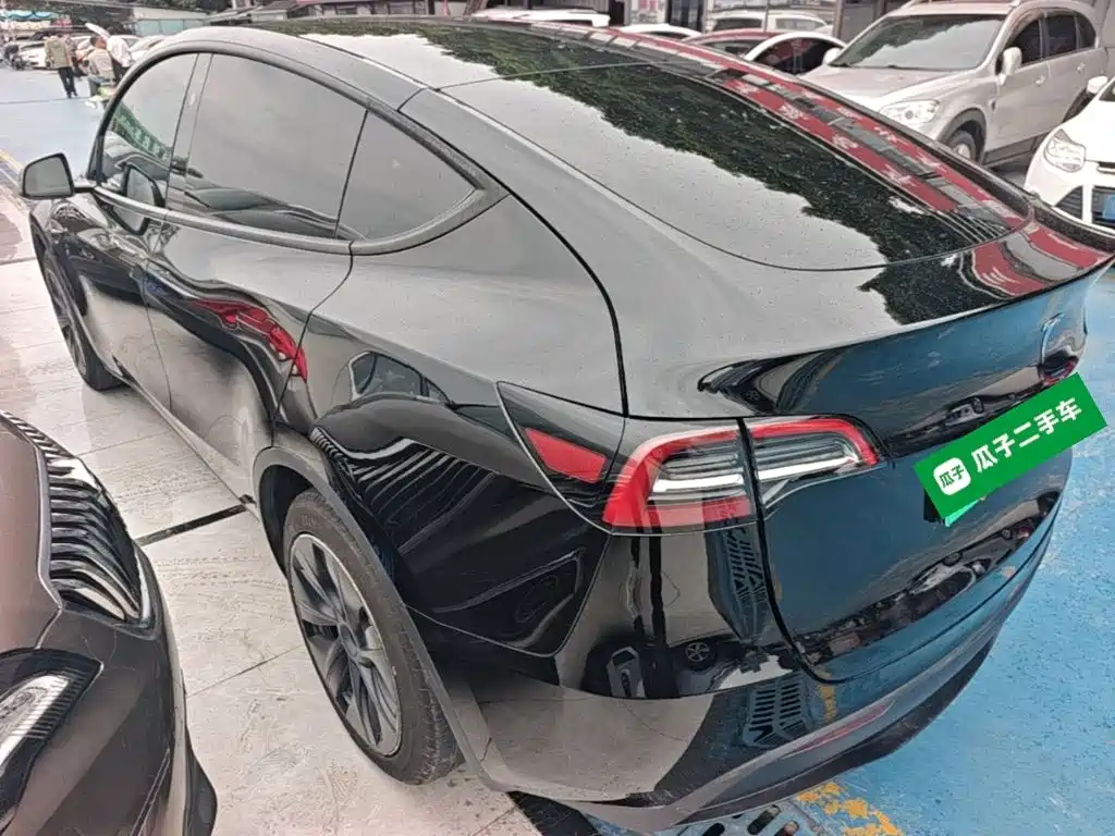 Tesla Model Y — миниатюра 5
