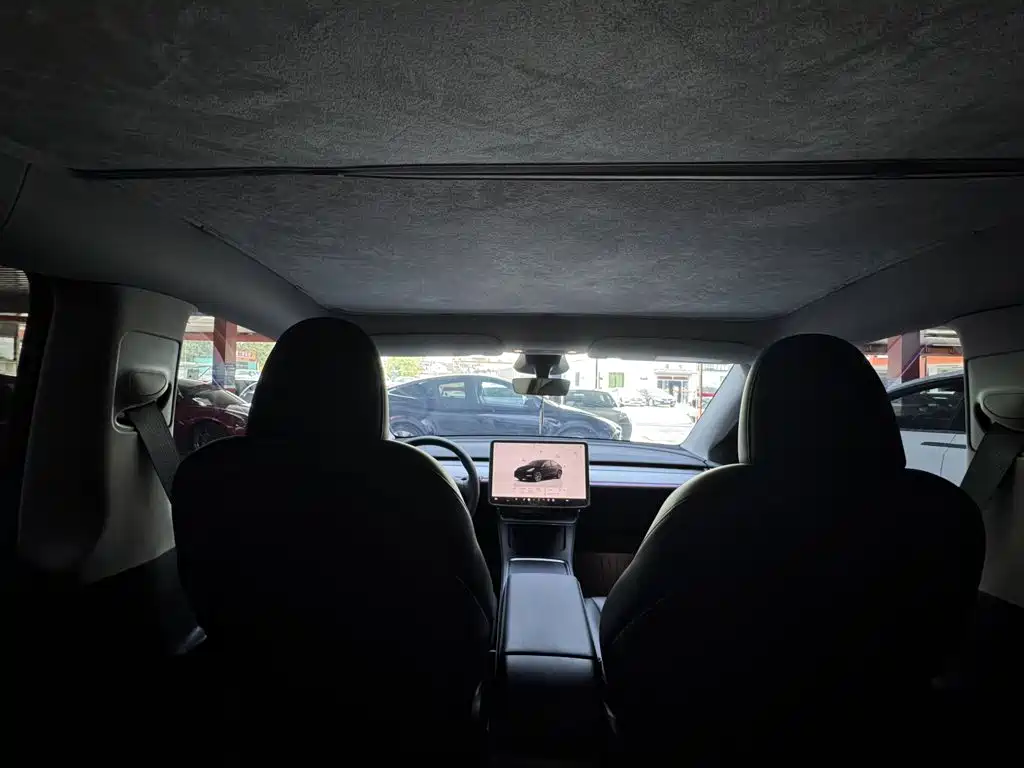 Tesla Model Y — миниатюра 18