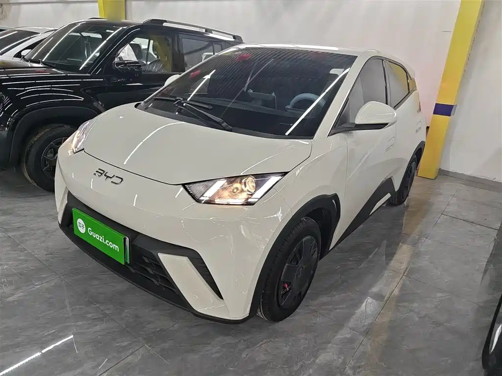 Byd Seagull 2025