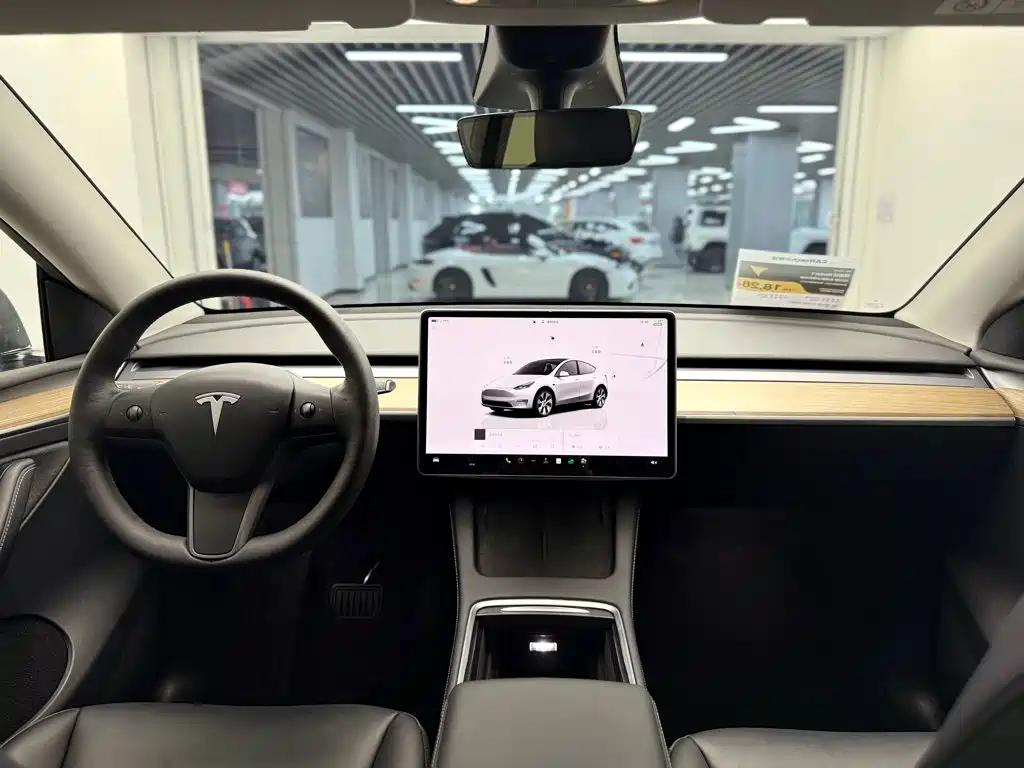 Tesla Model Y — миниатюра 7