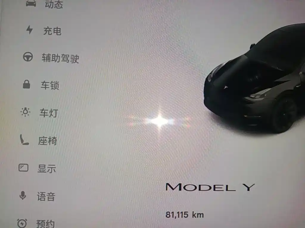 Tesla Model Y — миниатюра 12