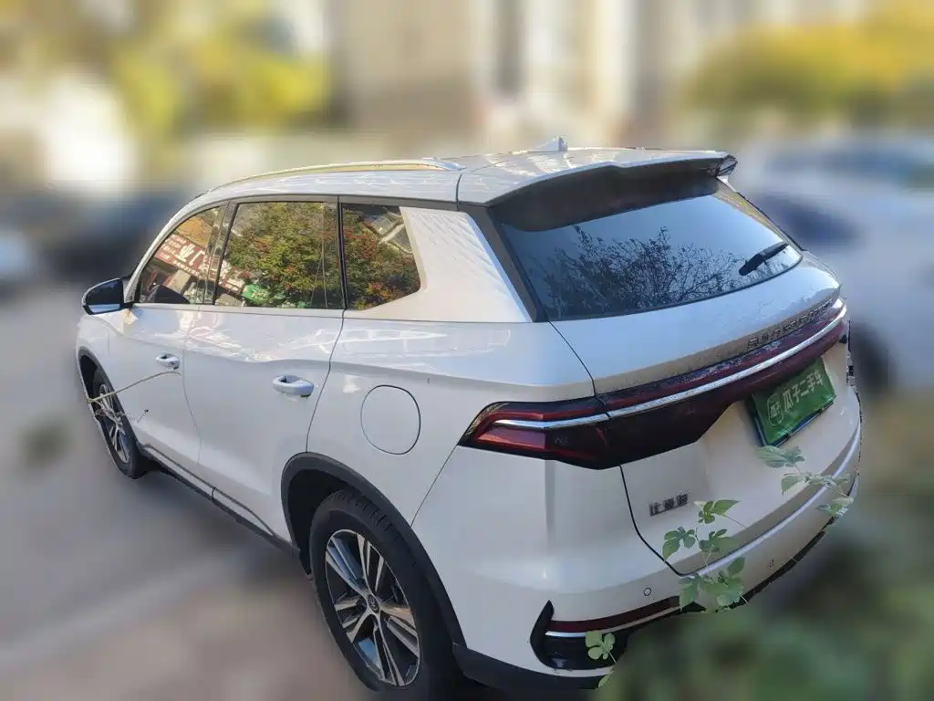 BYD Pro — миниатюра 4