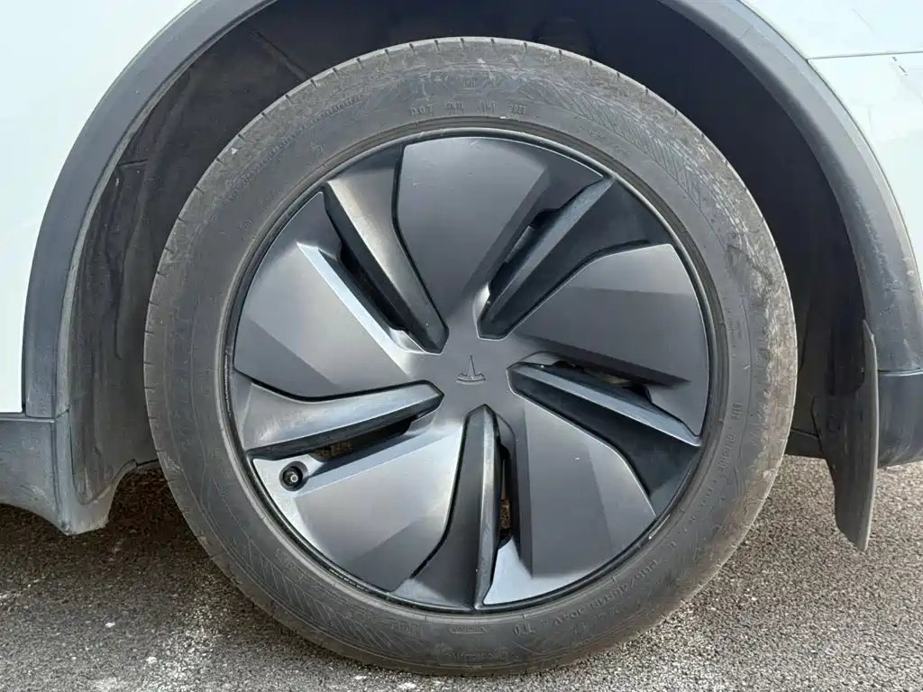 Tesla Model Y — миниатюра 9
