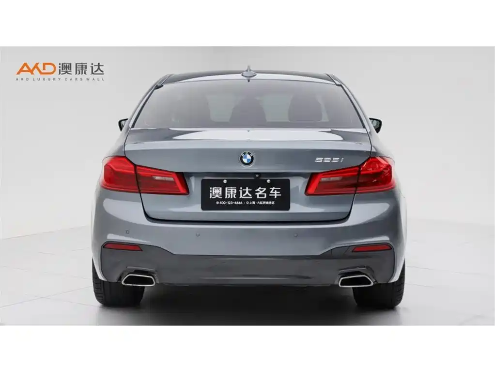 BMW 5 Series 5 2019 525Li M Sport