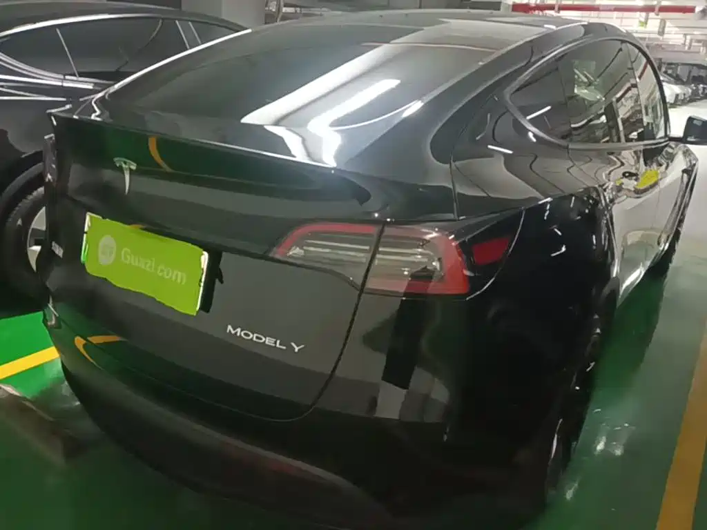 Tesla Model Y — миниатюра 7