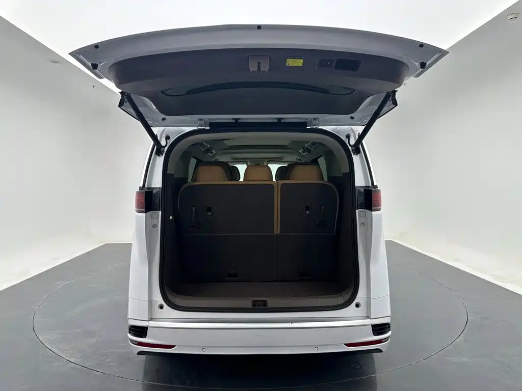 Denza Denza D9 — миниатюра 29
