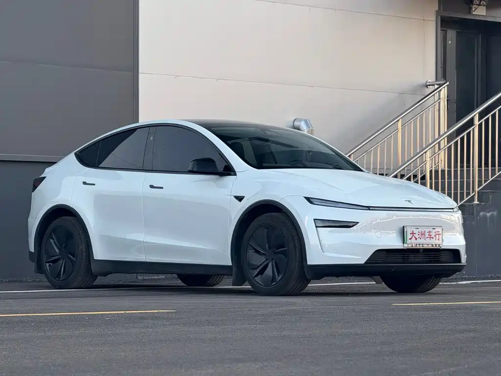 Tesla Model Y — миниатюра 3