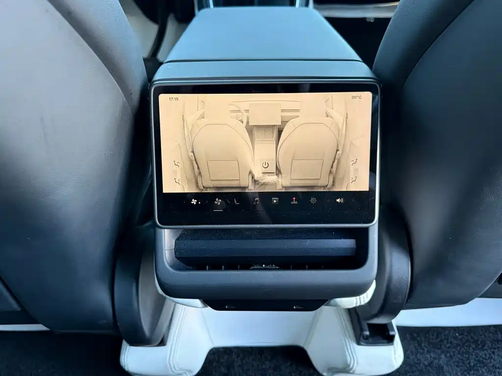 Tesla Model Y — миниатюра 27