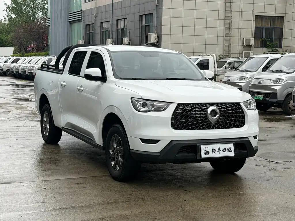 Great Wall Pao — миниатюра 3