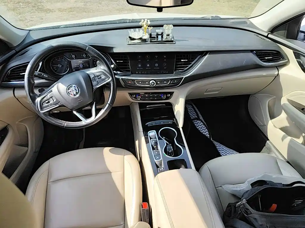 Buick Regal — миниатюра 14