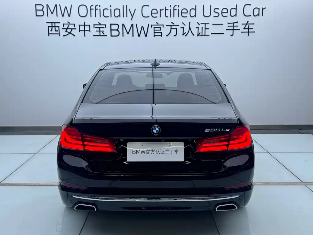 BMW 5 SERIES NEW ENERGY