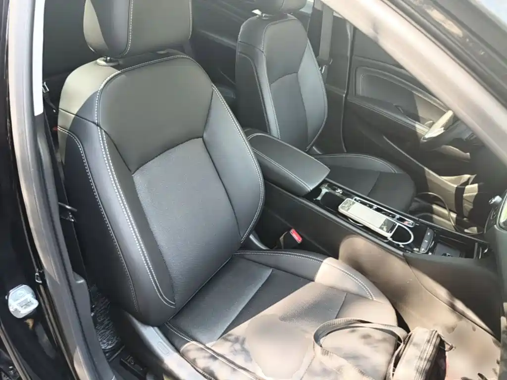 Buick Regal — миниатюра 25
