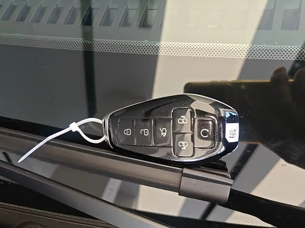 Denza Denza D9 — миниатюра 9