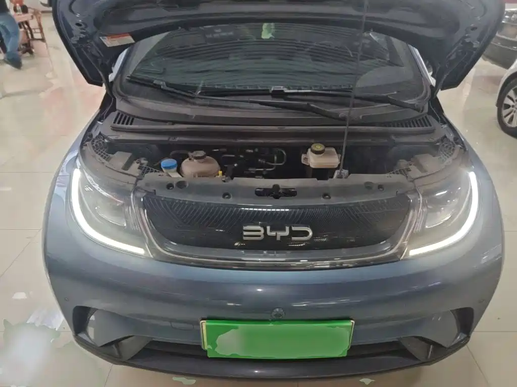 BYD Dolphin — миниатюра 20