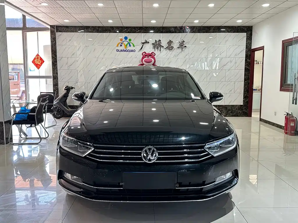Volkswagen Magotan — миниатюра 2