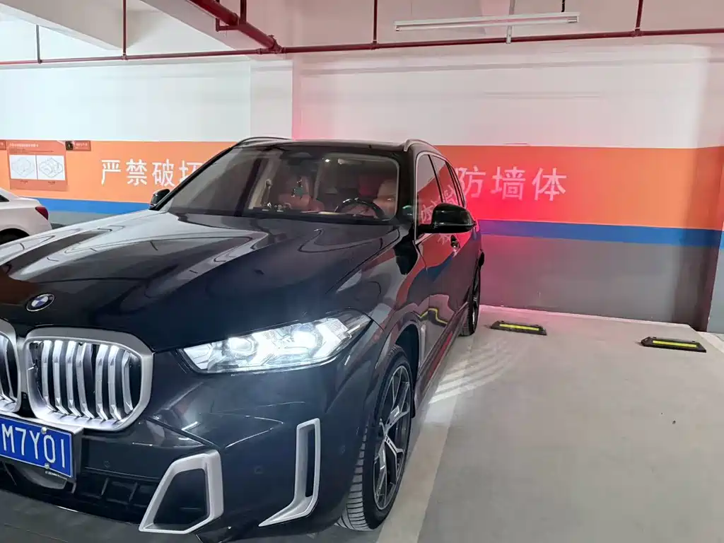 BMW X5 — миниатюра 3