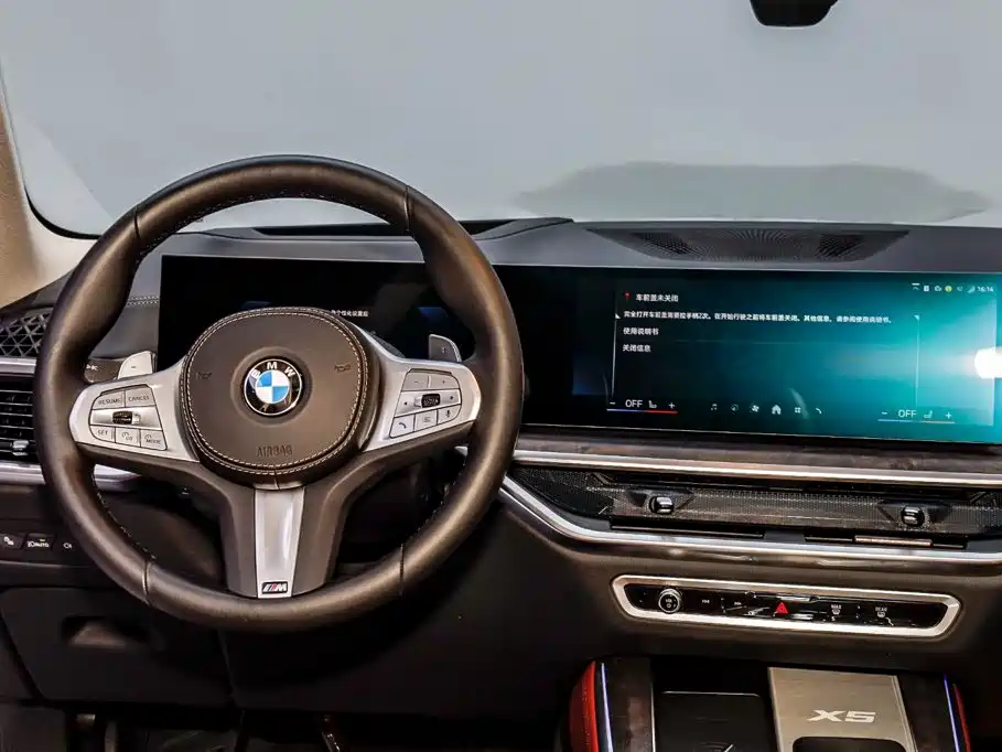 BMW X5 — миниатюра 31