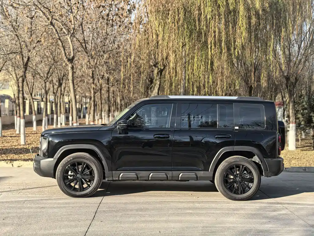 HAVAL RAPTORS NEW ENERGY