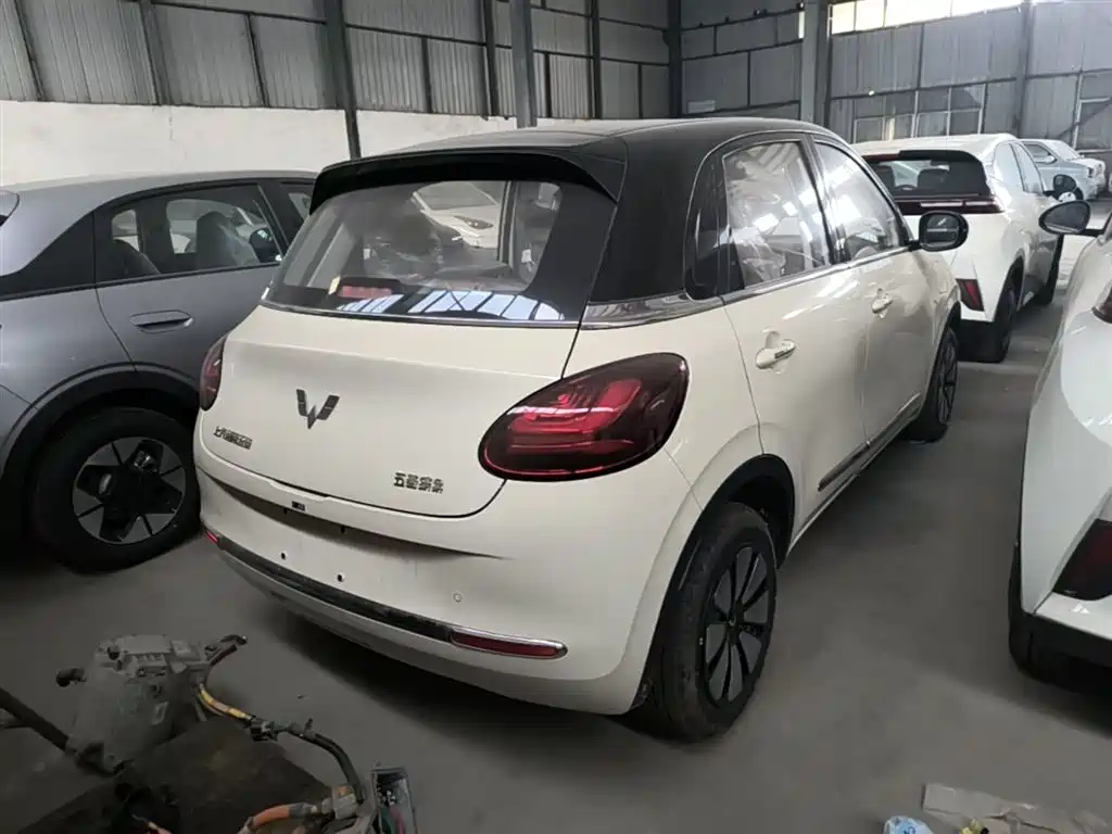 Wuling Binguo 2025 333km Enjoy