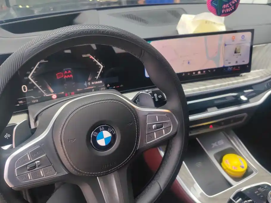 BMW X5 — миниатюра 12