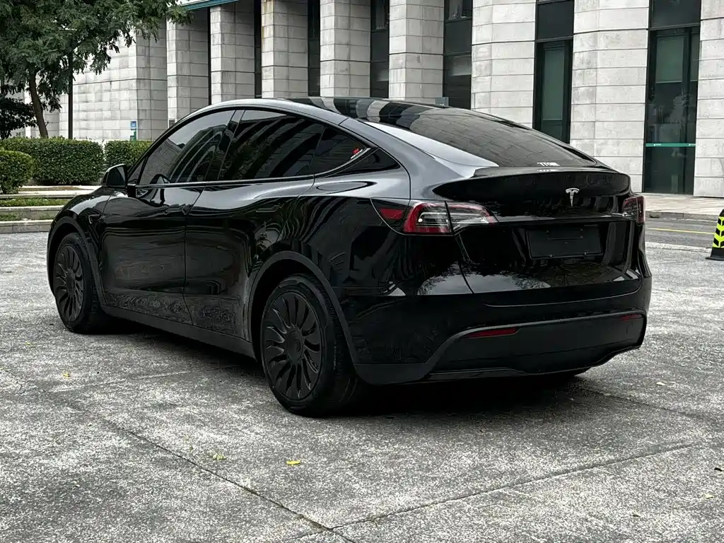 Tesla Model Y — миниатюра 16