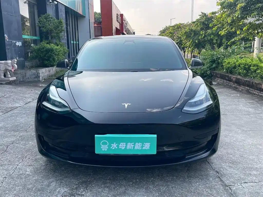 Tesla Model 3 — миниатюра 2