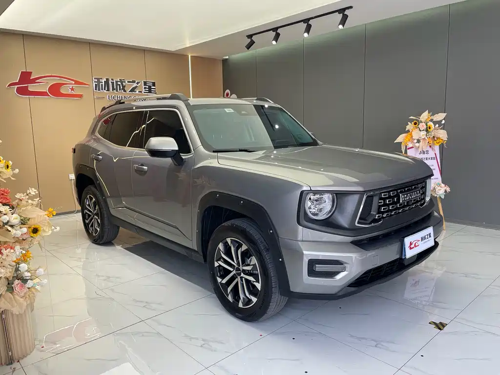 Haval Big Dog PLUS — миниатюра 3