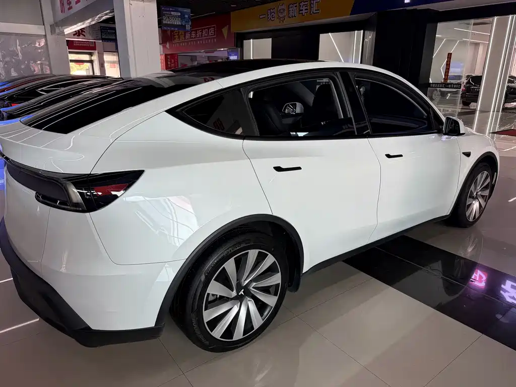 Tesla Model Y — миниатюра 3