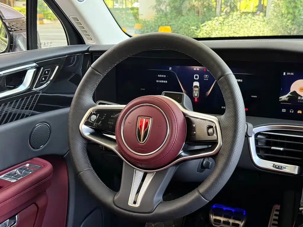 Hongqi Hongqi E-HS9 — миниатюра 8
