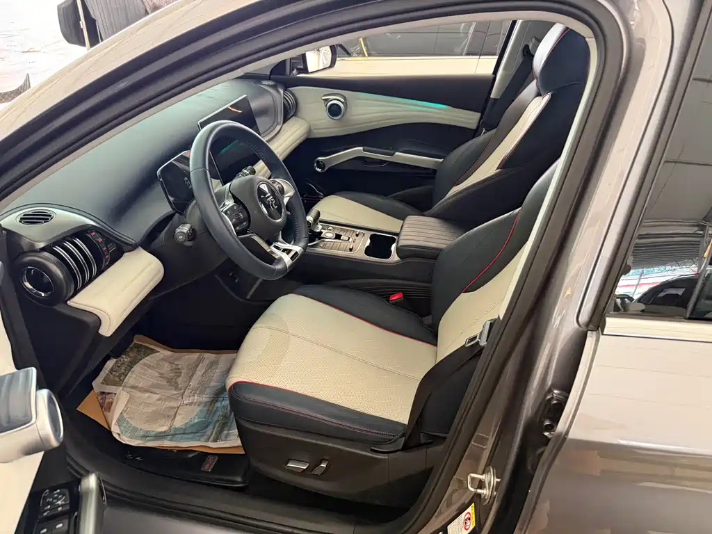 BYD Yuan Plus — миниатюра 13