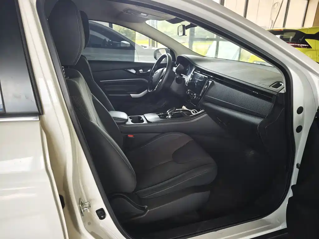 Venucia D60 EV — миниатюра 11