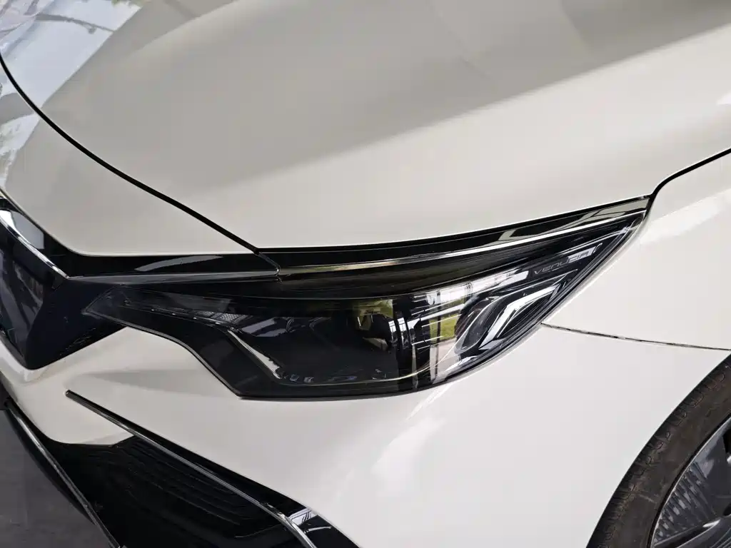 Venucia D60 EV — миниатюра 15