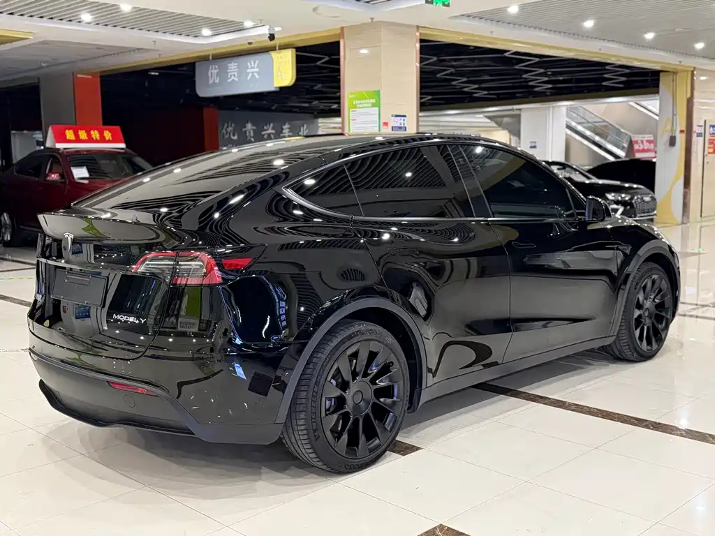 Tesla Model Y — миниатюра 9