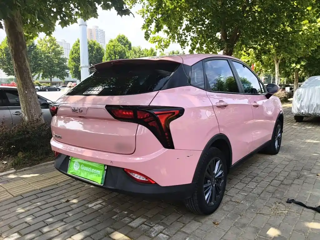 Neta Neta V — миниатюра 7