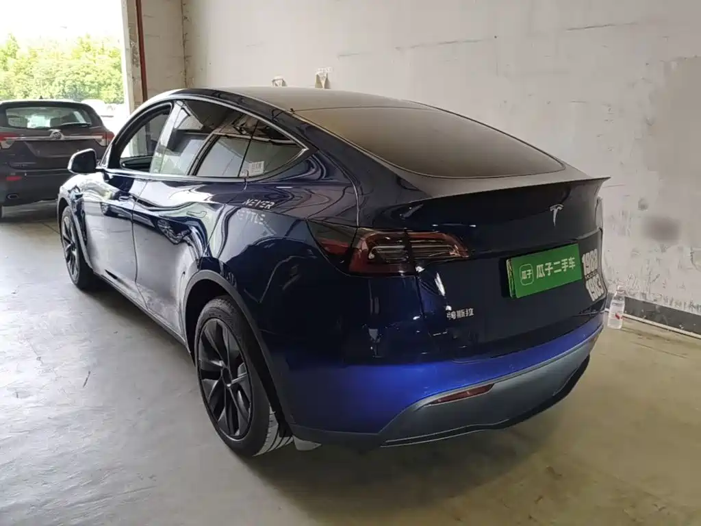 Tesla Model Y — миниатюра 5
